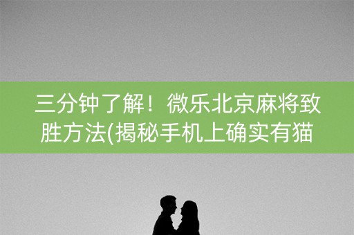 三分钟了解！微乐北京麻将致胜方法(揭秘手机上确实有猫腻)