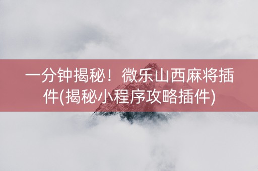 一分钟揭秘！微乐山西麻将插件(揭秘小程序攻略插件)
