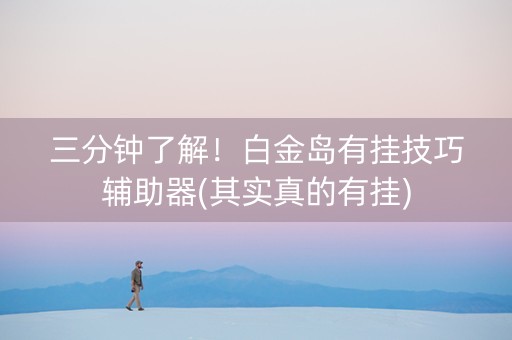 三分钟了解！白金岛有挂技巧辅助器(其实真的有挂)
