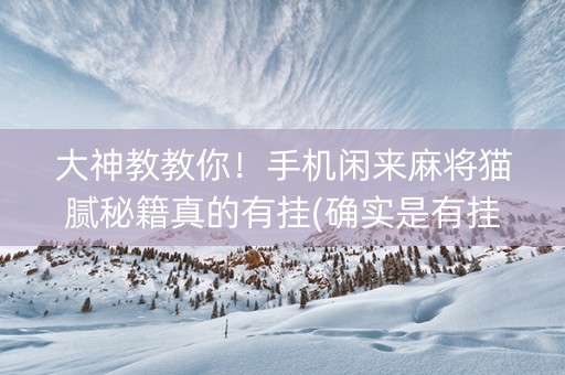 大神教教你！手机闲来麻将猫腻秘籍真的有挂(确实是有挂)