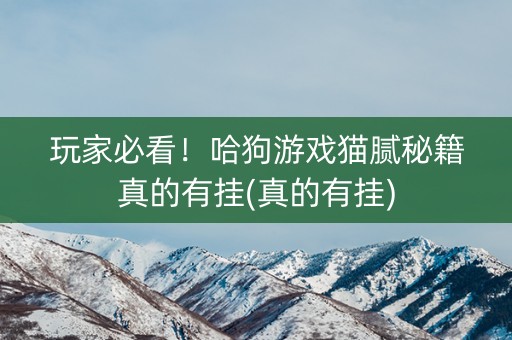 玩家必看！哈狗游戏猫腻秘籍真的有挂(真的有挂)