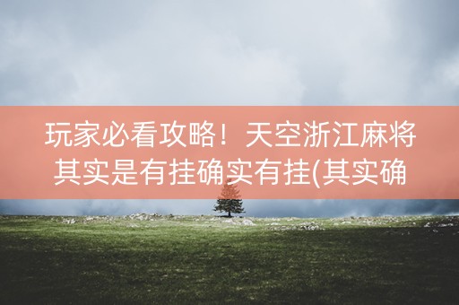 玩家必看攻略！天空浙江麻将其实是有挂确实有挂(其实确实有挂)