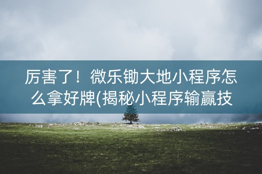 厉害了！微乐锄大地小程序怎么拿好牌(揭秘小程序输赢技巧)