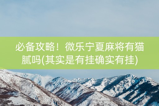 必备攻略！微乐宁夏麻将有猫腻吗(其实是有挂确实有挂)