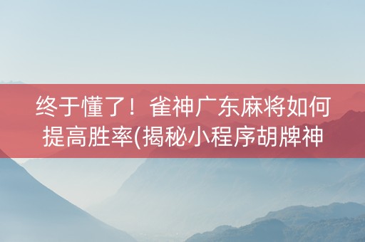 终于懂了！雀神广东麻将如何提高胜率(揭秘小程序胡牌神器)