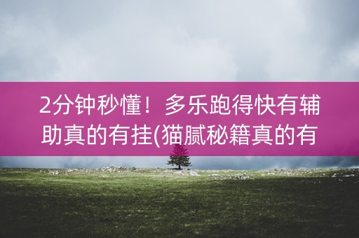 2分钟秒懂！多乐跑得快有辅助真的有挂(猫腻秘籍真的有挂)