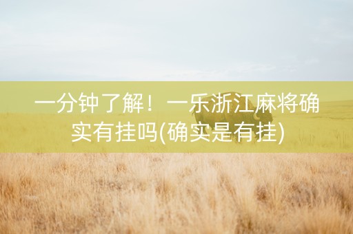 一分钟了解！一乐浙江麻将确实有挂吗(确实是有挂)