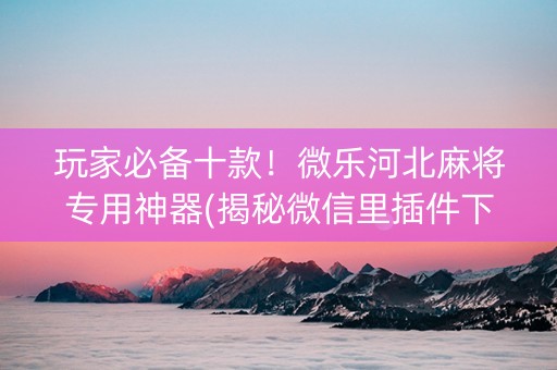 玩家必备十款！微乐河北麻将专用神器(揭秘微信里插件下载)