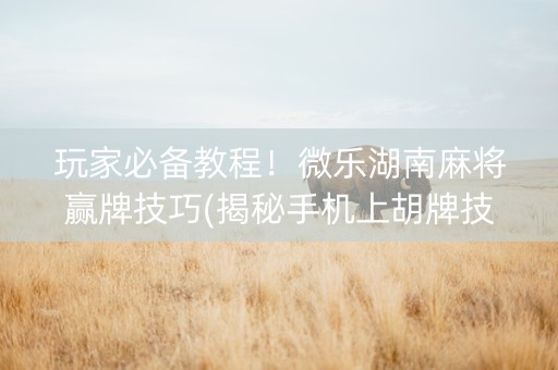 玩家必备教程！微乐湖南麻将赢牌技巧(揭秘手机上胡牌技巧)