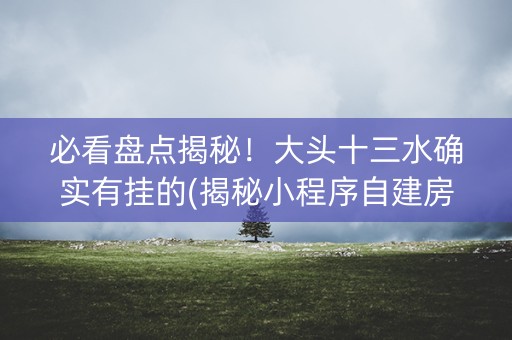 必看盘点揭秘！大头十三水确实有挂的(揭秘小程序自建房怎么赢)