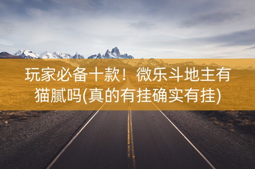 玩家必备十款！微乐斗地主有猫腻吗(真的有挂确实有挂)