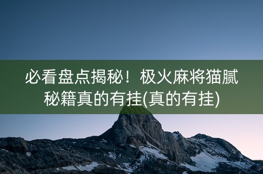 必看盘点揭秘！极火麻将猫腻秘籍真的有挂(真的有挂)