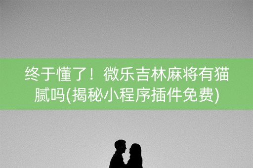 终于懂了！微乐吉林麻将有猫腻吗(揭秘小程序插件免费)