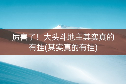 厉害了！大头斗地主其实真的有挂(其实真的有挂)