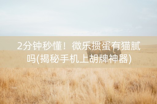 2分钟秒懂！微乐掼蛋有猫腻吗(揭秘手机上胡牌神器)