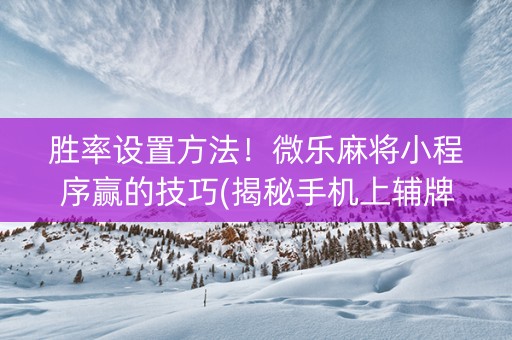 胜率设置方法！微乐麻将小程序赢的技巧(揭秘手机上辅牌器)