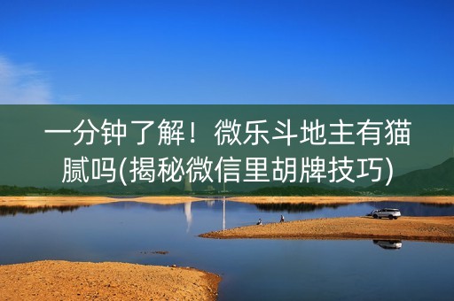 一分钟了解！微乐斗地主有猫腻吗(揭秘微信里胡牌技巧)