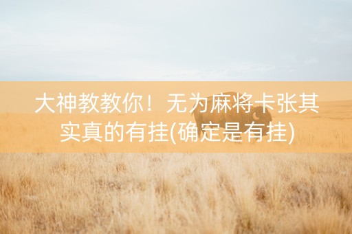 大神教教你！无为麻将卡张其实真的有挂(确定是有挂)
