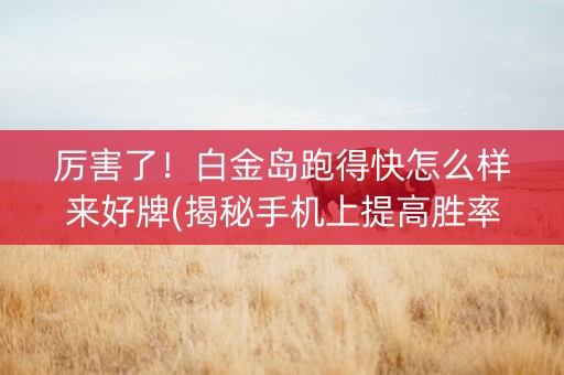 厉害了！白金岛跑得快怎么样来好牌(揭秘手机上提高胜率)
