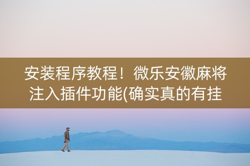 安装程序教程！微乐安徽麻将注入插件功能(确实真的有挂)