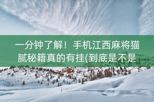 一分钟了解！手机江西麻将猫腻秘籍真的有挂(到底是不是有挂)