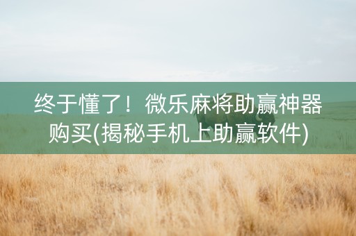 终于懂了！微乐麻将助赢神器购买(揭秘手机上助赢软件)