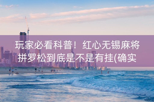 玩家必看科普！红心无锡麻将拼罗松到底是不是有挂(确实有挂)