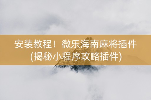 安装教程！微乐海南麻将插件(揭秘小程序攻略插件)