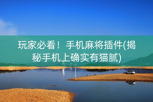 玩家必看！手机麻将插件(揭秘手机上确实有猫腻)