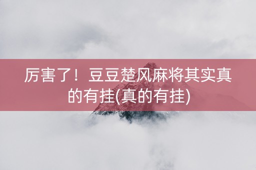 厉害了！豆豆楚风麻将其实真的有挂(真的有挂)