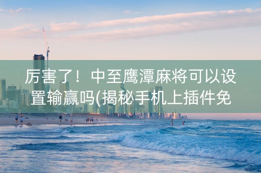 厉害了！中至鹰潭麻将可以设置输赢吗(揭秘手机上插件免费)