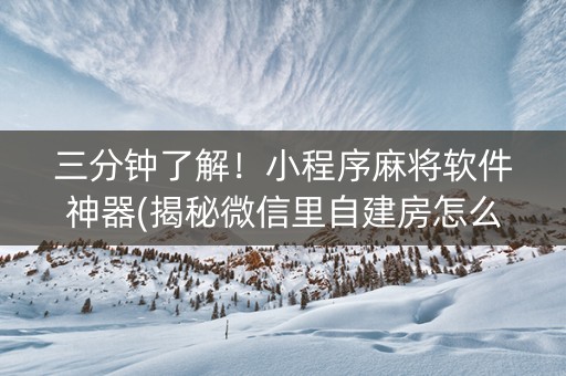 三分钟了解！小程序麻将软件神器(揭秘微信里自建房怎么赢)