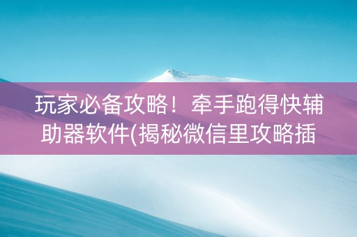 玩家必备攻略！牵手跑得快辅助器软件(揭秘微信里攻略插件)