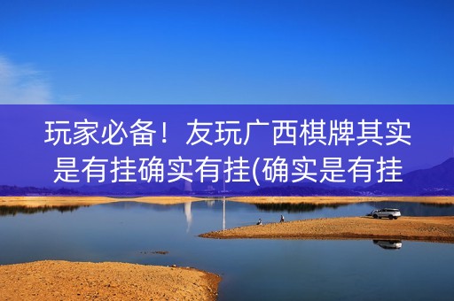 玩家必备！友玩广西棋牌其实是有挂确实有挂(确实是有挂)
