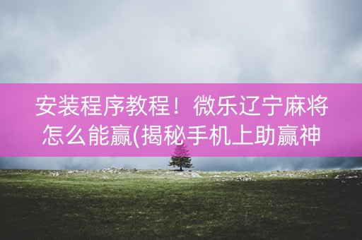 安装程序教程！微乐辽宁麻将怎么能赢(揭秘手机上助赢神器)