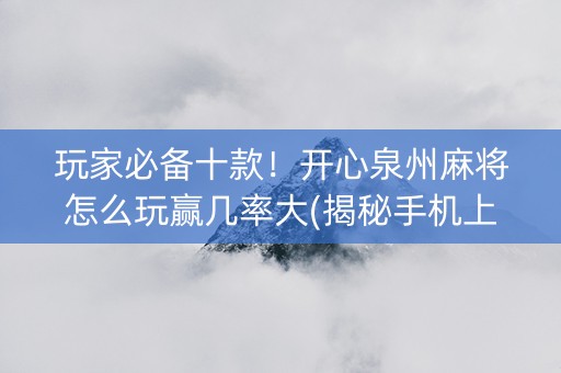 玩家必备十款！开心泉州麻将怎么玩赢几率大(揭秘手机上攻略插件)