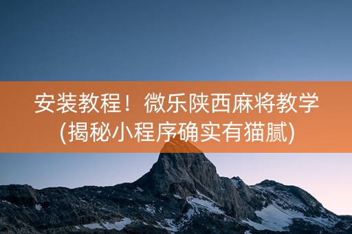 安装教程！微乐陕西麻将教学(揭秘小程序确实有猫腻)