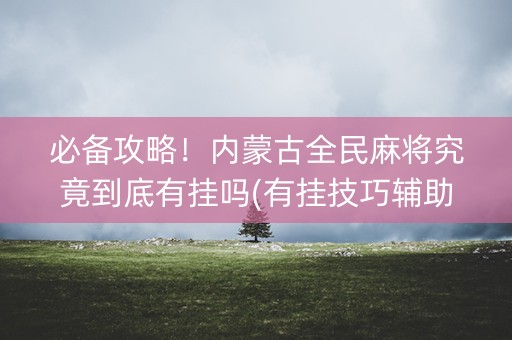 必备攻略！内蒙古全民麻将究竟到底有挂吗(有挂技巧辅助器)
