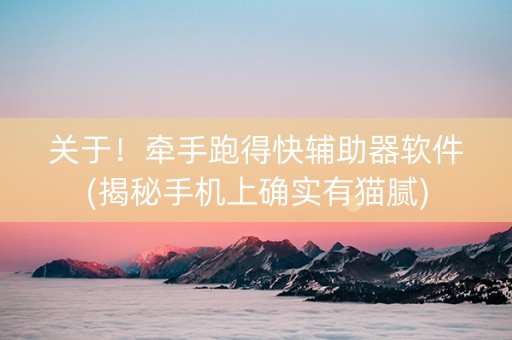 关于！牵手跑得快辅助器软件(揭秘手机上确实有猫腻)