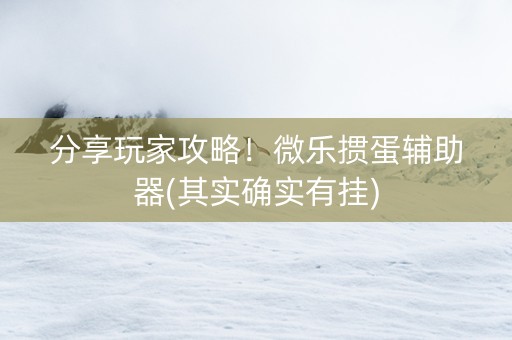 分享玩家攻略！微乐掼蛋辅助器(其实确实有挂)