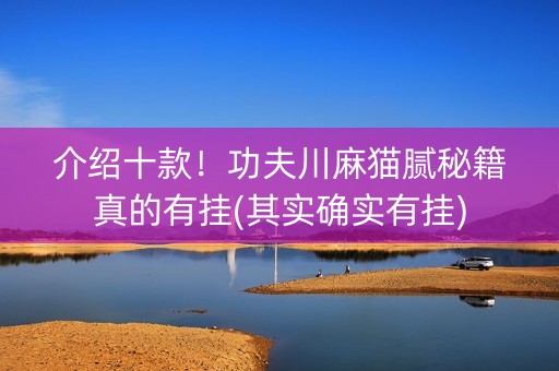 介绍十款！功夫川麻猫腻秘籍真的有挂(其实确实有挂)