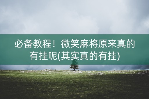 必备教程！微笑麻将原来真的有挂呢(其实真的有挂)