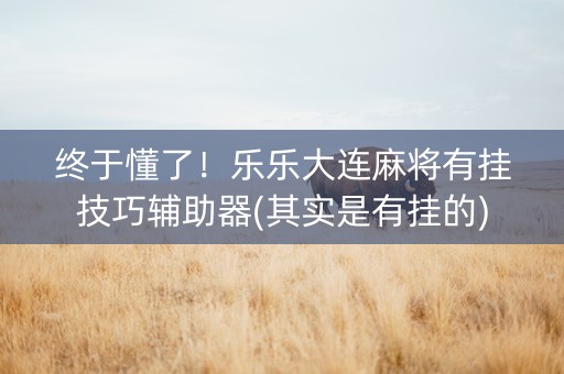 终于懂了！乐乐大连麻将有挂技巧辅助器(其实是有挂的)