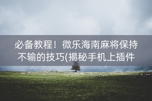 必备教程！微乐海南麻将保持不输的技巧(揭秘手机上插件免费)