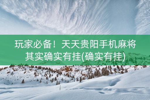 玩家必备！天天贵阳手机麻将其实确实有挂(确实有挂)