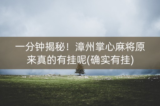 一分钟揭秘！漳州掌心麻将原来真的有挂呢(确实有挂)