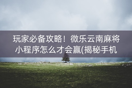 玩家必备攻略！微乐云南麻将小程序怎么才会赢(揭秘手机上赢牌的技巧)