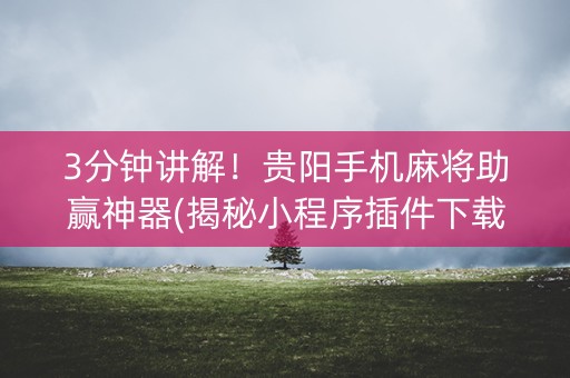 3分钟讲解！贵阳手机麻将助赢神器(揭秘小程序插件下载)