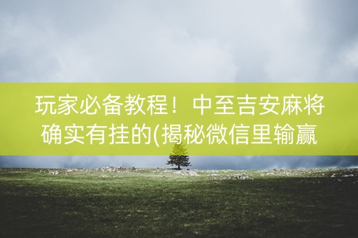 玩家必备教程！中至吉安麻将确实有挂的(揭秘微信里输赢技巧)