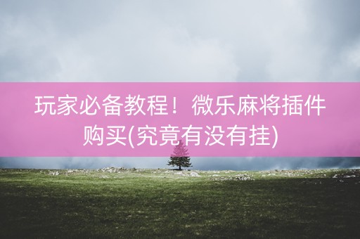 玩家必备教程！微乐麻将插件购买(究竟有没有挂)